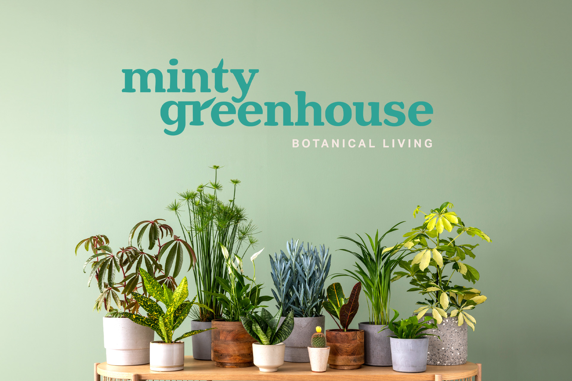 Minty Greenhouse