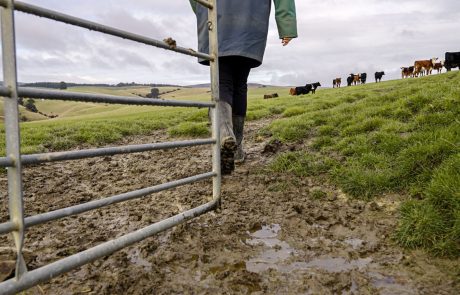 Clutha NZ Farming