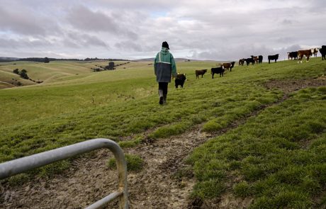 Clutha NZ Farming