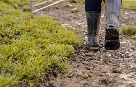 Clutha NZ Farming