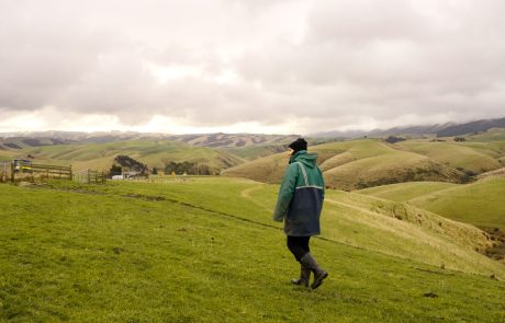 Clutha NZ Farming