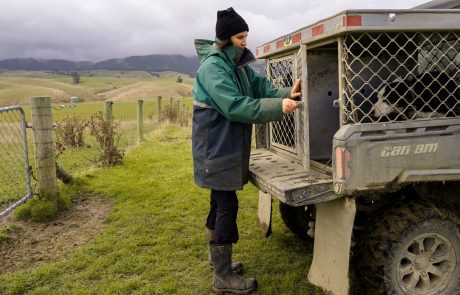 Clutha NZ Farming