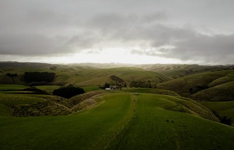 Clutha NZ Farming