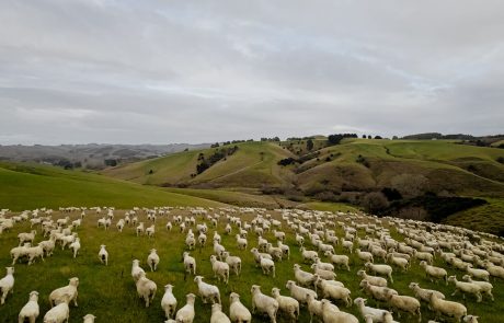 Clutha NZ Farming