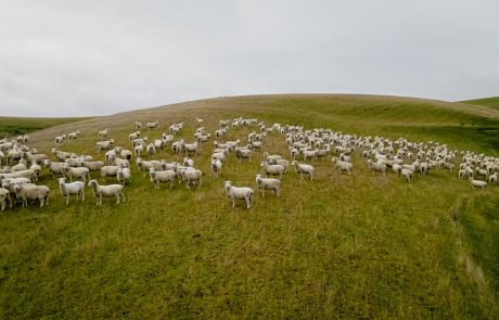 Clutha NZ Farming